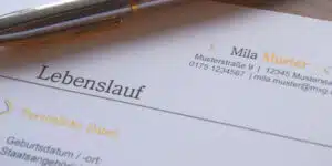 lebenslauf schreiben